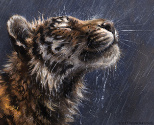 2015 ambiguous_gender black_fur black_lips black_nose black_stripes detailed_background eyes_closed feline fur headshot_portrait inner_ear_fluff kenket long_mouth mammal orange_fur outside painting_(artwork) photorealism portrait raining side_view snout solo striped_body striped_fur stripes tiger traditional_media_(artwork) water whiskers white_fur

Rating: Safe
Score: 60
User: TheGreatWolfgang
Date: July 24, 2015