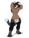 anthro bottomless clothed clothing eyewear female garter_straps glasses landing_strip legwear solo stockings sweater tail topwear os josie_(os) domestic_cat felid feline felis mammal hi_res