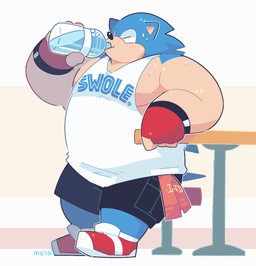 anthro biped black_nose blue_body bodily_fluids bottle bottomwear clothing container drinking drinking_water eyes_closed humanoid_hands male musclegut muscular shirt shorts solo sweat text text_on_clothing text_on_shirt text_on_topwear topwear water_bottle greenendorf sega sonic_the_hedgehog_(series) sonic_the_hedgehog eulipotyphlan hedgehog mammal 2015 hi_res