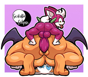 anthro duo female from_behind_position genitals male male/female nude penetration penis sex vaginal seikatsueclipse sega sonic_the_hedgehog_(series) sonic_unleashed chip_(sonic) rouge_the_bat bat deity mammal absurd_res hi_res