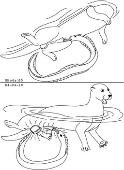 animal_genitalia balls duo electrocution feral genitals interspecies male male/male open_mouth oral penis sheath shocked size_difference surprised swimming tail water urbanhermit aquatic electric_eel fish knifefish mammal mustelid naked-back_knifefish otter 1984 black_and_white comic dated monochrome