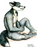 anthro erection eyes_closed genitals humanoid_genitalia humanoid_penis male masturbation nude open_mouth penile penile_masturbation penis plantigrade simple_background solo tail white_background java mudshark canid canine fox mammal