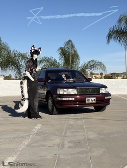anthro car clothing footwear male plant real realistic shoes solo standing tree vehicle lsnium air_jordan_13 hellaverse helluva_boss jordan_(brand) lexus_(car) mythology loona_(helluva_boss) dragon felid mammal mythological_creature mythological_scalie pantherine scalie snow_leopard absurd_res draw_over hi_res