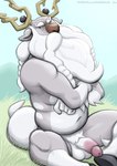 anthro anthrofied balls belly genitals grey_body humanoid_genitalia humanoid_hands humanoid_penis long_beard long_mustache male mature_male navel penis sitting slightly_chubby solo text white_body dudebulge nintendo pokemon pokemon_legends_arceus deer generation_8_pokemon mammal pokemon_(species) wyrdeer 2021 absurd_res hi_res url