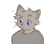 blue_eyes blush clothing eyebrows fur grey_clothing grey_eyebrows grey_shirt grey_topwear shirt simple_background solo topwear white_background white_body white_fur mintza_bo domestic_cat felid feline felis mammal 1:1 2024 hi_res