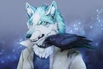 anthro black_collar black_lips blue_body blue_eyes blue_fur clothed clothing collar duo feathers feral fur lips male topwear white_body white_fur soukosouji brand_new_animal studio_trigger kuro_(brand_new_animal) shirou_ogami avian bird canid canine canis corvid corvus_(genus) crow mammal oscine passerine raven wolf 2020