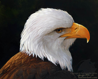 ambiguous_feral ambiguous_gender beak brown_body brown_feathers feathers feral multicolored_body multicolored_feathers side_view simple_background solo text white_body white_feathers nambroth accipitrid accipitriform avian bald_eagle bird eagle sea_eagle 2017 artist_name bust_portrait oil_painting_(artwork) painting_(artwork) portrait source_request traditional_media_(artwork) traditional_painting_(artwork) unavailable_at_source url