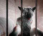 angry anthro ball_gag bars bdsm black_nose cage detailed_background female fur gag grey_body grey_fur grey_hair hair looking_at_viewer muzzle_(object) muzzled pink_eyes solo teeth whiskers safiru safi_(safiru) balinese_cat domestic_cat felid feline felis mammal oriental_longhair 2017