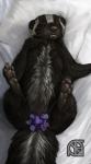 anthro bed butt claws convenient_censorship feet female feral flat_chested flower flower_censor furniture hindpaw lying on_back paws pillow plant pose semi-anthro solo spread_legs spreading teeth whiskers cosmiclife mammal mephitid skunk censored hi_res pinup