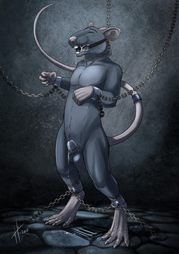 anthro balls bdsm black_eyes bodily_fluids bondage bound chain chained chastity_cage chastity_device cuffed_ankles cuffed_wrists drooling ear_piercing ear_ring fur gag gagged genitals grey_balls grey_body grey_fur male male_anthro narrowed_eyes nude open_mouth piercing red_tongue ring_gag ring_piercing saliva slim_anthro slim_male solo standing tongue wearing_chastity_cage wearing_chastity_device hufnaar aaron_d'verse mammal murid murine rat rodent 2017 dated hi_res