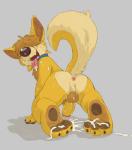 all_fours anthro anus backsack balls bodily_fluids brown_body brown_fur butt butt_heart canid canine canis cel_shading collar cum cum_on_face cum_on_feet cum_on_ground cum_on_tongue deli_(delirost) domestic_dog donkeypunch dripping drooling erection feet foreskin fur genital_fluids genitals grey_background hair hair_over_eyes humanoid_genitalia humanoid_penis looking_back male mammal messy nude open_mouth open_smile partially_retracted_foreskin pawpads penis perineum raised_tail rear_view saliva seat shaded shadow simple_background smile solo sweat tail tan_body tan_fur tongue tongue_out vein veiny_penis yellow_body yellow_fur