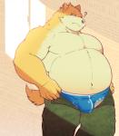 anthro belly bottomwear bulge clothing humanoid_hands male moobs navel overweight overweight_anthro overweight_male pants question_mark solo underwear aqui paqaaqap canid canine canis domestic_dog mammal 2019