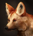 ambiguous_gender black_nose cheek_tuft facial_tuft feral fluffy fur fur_markings inner_ear_fluff markings pointy_ears prick_ears realistic snout solo tan_body tan_fur tuft c1candy cedar_(ezpups) canid canine canis mammal wolf detailed headshot_portrait hi_res portrait