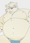 anthro belly big_belly clothing eyewear glasses kemono male moobs nipples overweight overweight_male smoking solo swimwear bear_2key lifewonders tokyo_afterschool_summoners leib_(tas) bear mammal polar_bear ursine 2023 hi_res