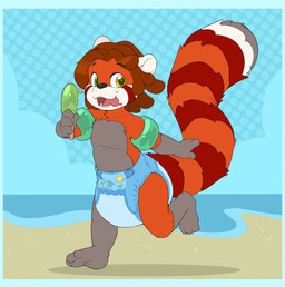 3_toes 4_fingers ambiguous_gender anthro arm_floatie beach black_nose blue_border bodily_fluids border brown_hair clean_diaper clothed clothing diaper dipstick_tail dripping drooling fangs feet fingers food fur gloves_(marking) grey_body grey_fur grey_tail grey_tail_tip hair heterochromia holding_food holding_object holding_popsicle leg_markings markings multicolored_body multicolored_fur orange_body orange_fur orange_tail popsicle red_body red_fur red_tail ring_(marking) ringed_tail running saliva sea sky socks_(marking) solo striped_markings striped_tail stripes swim_diaper tail tail_markings teeth three-quarter_view toes tongue tongue_out water wearing_diaper white_body white_ears white_fur white_inner_ear white_tail bubblepuppers rolo_(redpandarolo) ailurid mammal red_panda full-length_portrait hi_res portrait