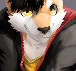 anthro black_hair black_nose clothed clothing front_view fur glistening glistening_eyes grey_clothing grey_jacket grey_topwear hair jacket looking_at_viewer male mouth_closed open_clothing open_jacket open_topwear orange_body orange_fur solo topwear white_body white_fur yellow_clothing yellow_eyes yellow_topwear t.y.stars canid mammal bust_portrait portrait