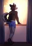 anthro blue_clothing blue_underwear boxer_briefs brown_body brown_fur clock clothed clothing curtains fur inside male pattern_clothing pattern_underwear rear_view solo standing underwear underwear_only watch wristwatch supermint canid canine canis mammal wolf watermark