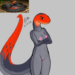 anthro areola big_tail breasts brown_eyes countershade_scales countershading crossed_arms eyelashes female female_anthro front_view genitals grey_background grey_body grey_countershading grey_scales innie_vulva long_neck long_tail looking_at_viewer medium_breasts navel nipples non-mammal_breasts nude orange_body orange_scales pink_areola pink_nipples pink_outer_labia pink_vulva scales simple_background snout solo standing tail tapering_tail thick_tail ventral_scales vulva spe elapid_(snake) krait red-headed_krait reptile scalie snake 1:1 2025 absurd_res dated digital_drawing_(artwork) digital_media_(artwork) flat_colors hi_res portrait reference_image signature sketchbook_(artwork) three-quarter_portrait