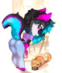 anthro bent_over blue_body blue_fur bowl butt clothed clothing container crop_top domestic_pet feeding female food_bowl fur hair long_hair midriff pet_bowl pink_body pink_eyes pink_fur shirt smile solo topwear annetpeas yozora canid canine canis domestic_cat felid feline felis mammal wolf absurd_res hi_res