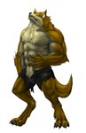 anthro clothed clothing digitigrade fur male muscular muscular_anthro muscular_male orange_body orange_fur solo standing topless torn_clothing two_color_fur yellow_body yellow_fur captainjohkid canid canine canis mammal wolf hi_res