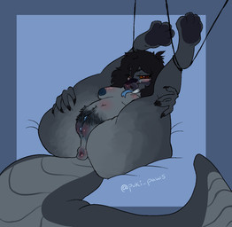 anthro belly big_belly big_tail blue_nipples blue_tongue blue_vulva bound female flexible genitals hairy_vulva legs_tied nipples pubes red_sclera solo tail thick_thighs tongue vulva puki_paws miravelle_(phantanyl) python reptile scalie snake hi_res