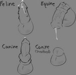 animal_genitalia anthro balls bodily_fluids cum erection genital_fluids genitals knot male penis sheath solo mxnster_fxcker canid canine canis equid equine felid feline felis horse mammal digital_media_(artwork) hi_res monochrome