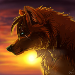 black_nose blue_eyes day detailed_background feral fur hair outside scar sky solo sun wolfroad canid canine canis mammal wolf 1:1 2011 digital_media_(artwork) headshot_portrait icon portrait