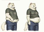 5_fingers anthro belly belly_overhang big_belly bottomwear clothing denim denim_bottomwear denim_clothing fingers fur green_clothing green_shirt green_topwear jeans love_handles male navel overweight overweight_anthro overweight_male pants shirt short_ears simple_background slightly_chubby slightly_chubby_male solo struggling topwear whiskers white_background white_body white_fur cettus half-life half-life_2 valve ermine_(cettus) mammal mustelid musteline stoat true_musteline weasel 2020