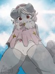 anthro camel_toe clothed clothing cloud female fur grey_body hair hat headgear headwear panties sky smile solo underwear white_body white_fur young young_anthro young_female fu_kawa_(artist) tiara_(fu_kawa) canid canine canis domestic_dog mammal 3:4 hi_res