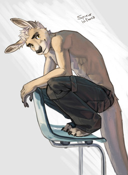 anthro athletic athletic_anthro athletic_male barefoot bottomwear chair claws clothed clothing crouching feet fur furniture hair looking_at_viewer male on_chair pants side_view solo tail tan_body tan_fur toe_claws topless topless_anthro topless_male yellow_eyes spiritinchoco kangaroo macropod mammal marsupial 2026 digital_media_(artwork) hi_res signature