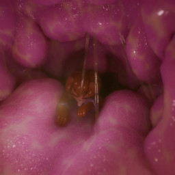 ambiguous_gender anthro big_tongue bodily_fluids burping carnivorous_plant duo feral inside_mouth internal macro male male_prey mouth_play mouth_shot nude open_mouth oral oral_vore pen_mouth plant plant_pred saliva saliva_string size_difference smaller_male swallowed_alive swallowing throat tongue uvula vore silly_roll lucky_f_(silly_roll) canid canine fox mammal 3d_(artwork) 3d_animation animated digital_media_(artwork) short_playtime sound video