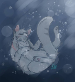 3_fingers 3_toes ambiguous_feral ambiguous_gender anatomically_inaccurate anatomically_inaccurate_pawpads bubble feet feral fingers fluffy fur grey_body grey_fur pink_inner_ear quadruped scar solo star toes torn_ear underwater water whiskers icetailwarrior warriors_(book_series) bluestar_(warriors) domestic_cat felid feline felis mammal 2023