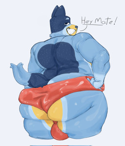 anthro ball_bulge big_butt blue_body blue_fur butt clothing dialogue exclamation_point eyebrows fur hands_on_hips looking_back male rear_view red_clothing red_underwear sharp_teeth simple_background slightly_chubby slightly_chubby_anthro slightly_chubby_male smile solo tail teeth text thick_thighs underwear white_background frutigercum bluey_(series) bandit_heeler australian_cattle_dog canid canine canis cattledog domestic_dog herding_dog mammal pastoral_dog 2026 digital_drawing_(artwork) digital_media_(artwork) english_description english_text hi_res