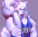 2022 angry anthro arm_tuft blue_clothing blue_eyes blue_shirt blue_tank_top blue_topwear canid canine canis cheek_tuft clothing curled_tail digital_media_(artwork) e-w01f elbow_tuft facial_tuft frown frown_eyebrows fur grey_background half-length_portrait hi_res male mammal muscular muscular_anthro muscular_arms muscular_male neck_tuft nipples pecs pink_nipples pink_nose portrait raised_arm shirt signature simple_background solo tail tank_top thick_neck topwear tuft whiskers white_body white_fur wolf