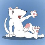 abstract_background anthro erection fur genitals gesture male nude penis scar sitting solo waving white_body white_fur darkajugin my_hero_academia principal_nezu mammal mouse murid murine rodent 1:1 hi_res