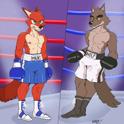 anthro boxing boxing_gloves boxing_trunks clothing duo fighting_ring handwear male muscular muscular_anthro nipples sport text fellowthewulf disney dreamworks the_bad_guys zootopia mr._wolf_(the_bad_guys) nick_wilde canid canine fox mammal red_fox true_fox 1:1 2024 digital_media_(artwork) english_text hi_res