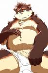 anthro balls belly biped clothing genitals green_eyes humanoid_hands male moobs navel nipples overweight overweight_anthro overweight_male penis simple_background sitting solo underwear white_background diru11 canid canine canis domestic_dog mammal 2019 hi_res