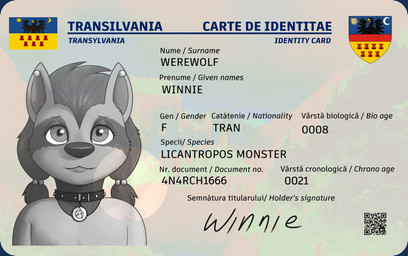 anthro barely_visible_butt butt card clothed clothing collar ear_piercing fake_id female flag front_view fur furgonomics greyscale_with_colored_background hair humor id_card loli looking_at_viewer piercing pigtails qr_code solo stated_age text young young_anthro zeklullaby hotel_transylvania winnie_werewolf_(hotel_transylvania) canid canine canis mammal wolf 2025 detailed digital_drawing_(artwork) digital_media_(artwork) english_text greyscale hi_res monochrome romanian_text signature