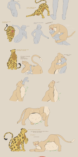 anus argument barely_visible_genitalia barely_visible_vulva belly big_belly bloated blush chasing dialogue eating female feral full_stomach genitals grey_body group human_prey internal male male/female oral_vore pinned rumbling_stomach tail text trio vore vulva calinbeast cougar felid feline human jaguar mammal pantherine 2017 absurd_res comic dated english_text hi_res signature
