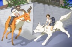 ambiguous_gender bridle brown_hair clothing female feral group hair horn male mount reins riding school_uniform street street_corner tail toast_in_mouth uniform what maldives_(artist) ghibli princess_mononoke ashitaka san_(princess_mononoke) yakkul antelope bovid canid canine canis human lechwe mammal reduncine wolf