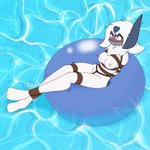 anthro bdsm bondage bound female gag inflatable inner_tube pool rope solo water ofdark nintendo pokemon absol generation_3_pokemon mammal pokemon_(species) 1:1 hi_res