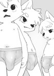 anthro big_bulge briefs bulge clothed clothing detailed_bulge genital_outline group half-closed_eyes hands_at_side male narrowed_eyes navel nipples open_mouth penis_outline simple_background small_but_hung trio underwear underwear_only white_clothing white_underwear young young_anthro manmosu_marimo ichi_inukai nino_inukai san_inukai canid canine canis domestic_dog mammal monochrome preview sketch brother_(lore) brothers_(lore) sibling_(lore) triplets_(lore)