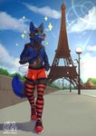 anthro athletic_wear blue_body blue_fur bottomwear bulge clothed clothing crossdressing femboy fur gym_bottomwear gym_shorts male shorts solo eddy_nyan canid canine canis fox hybrid mammal wolf absurd_res hi_res