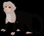 ambiguous_gender black_body black_fur brown_eyes brown_sclera feral fur grey_body grey_fur pink_body pink_skin plantigrade simple_background solo standing tail transparent_background sebdoggo haplorhine mammal monkey primate 2017 aliasing alpha_channel digital_drawing_(artwork) digital_media_(artwork) flat_colors full-length_portrait microsoft_paint_(artwork) portrait
