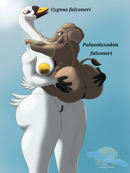 anthro anus beak big_butt black_hands black_markings black_vulva blue_eyes breasts brown_anus brown_body brown_eyes brown_nipples brown_vulva butt carrying_another duo feathers female female/female genitals light markings nipples non-mammal_breasts non-mammal_nipples outside presenting presenting_anus presenting_vulva shy size_difference sky slightly_chubby slightly_chubby_female sunlight tail tail_feathers thick_thighs tusks vulva white_body wide_hips yellow_beak yellow_nipples lindwormduality anatid anseriform anserine avian bird elephant elephantid mammal palaeoloxodon prehistoric_species proboscidean swan hi_res