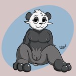 anthro anus bedroom_eyes breasts female genitals looking_at_viewer narrowed_eyes pussy seductive solo chunkypandaroo nintendo pokemon bear generation_6_pokemon mammal pancham pokemon_(species) 1:1