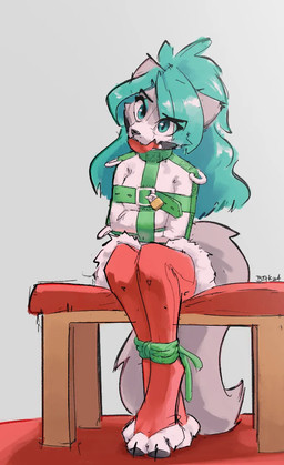 ankles_tied anthro ball_gag bdsm bench bondage bound christmas_clothing clothing female fur gag gagged grey_body grey_fur grey_tail hair holidays legwear lock long_hair on_bench padlock red_clothing red_legwear red_stockings restraints rope rope_bondage sitting sitting_on_bench solo stockings straitjacket tail teal_eyes teal_hair white_body white_fur bitkat christmas domestic_cat felid feline felis mammal