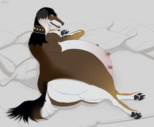belly belly_nipples big_belly black_pawpads brown_body brown_eyes brown_fur female female_feral feral floppy_ears fur glistening glistening_eyes huge_belly looking_at_viewer lying on_side open_mouth pawpads pregnant pregnant_female pregnant_feral side_view solo white_body white_fur wide_hips roobin canid canine canis domestic_dog mammal hi_res