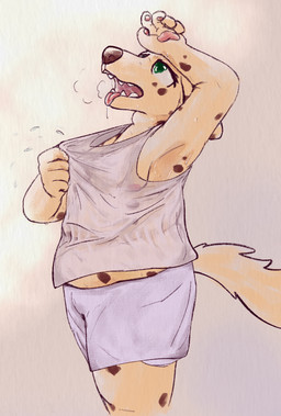 anthro belly big_belly bodily_fluids bottomwear clothing fangs fur green_eyes male markings nipples open_mouth overweight overweight_anthro saliva saliva_string sharp_teeth shirt shorts simple_background solo spots spotted_body spotted_fur sweat sweatdrop tail tan_body tan_fur tank_top teeth tongue tongue_out topwear translucent translucent_clothing wet wet_clothing wiping_forehead ray_karr malt_(ray_karr) canid canine canis domestic_dog mammal 2024 digital_media_(artwork) hi_res nonbinary_(lore)