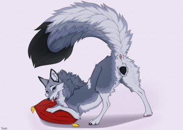 anatomically_correct anatomically_correct_anus anatomically_correct_genitalia anatomically_correct_vulva animal_genitalia animal_vulva anus ass_up bedroom_eyes black_nose blep blue_eyes butt canine_genitalia canine_vulva claws ear_piercing ear_ring eyebrows eyelashes female feral fluffy fluffy_tail fur genitals grey_body grey_fur heart_symbol looking_at_viewer monotone_genitals narrowed_eyes open_mouth piercing pillow pink_anus pink_vulva presenting presenting_anus presenting_hindquarters presenting_vulva raised_tail red_pillow ring_piercing seductive simple_background smile solo tail teeth text tongue tongue_out vulva white_background white_body white_fur taka_(artist) a.o.kigahara canid canine canis mammal wolf 2025 artist_name colored dated digital_drawing_(artwork) digital_media_(artwork) digital_painting_(artwork) english_text hi_res painting_(artwork) shaded signature sketch